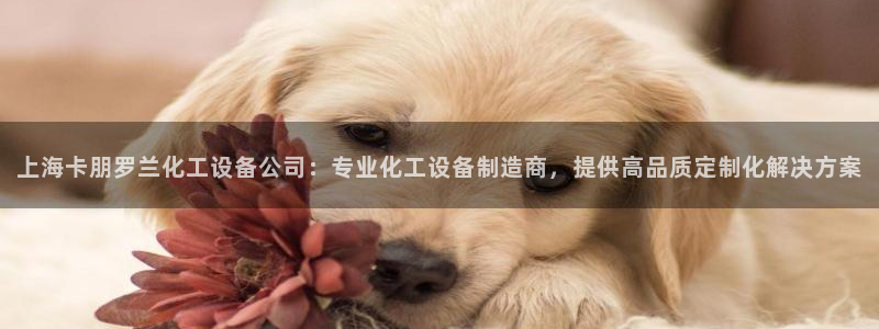 美狮贵宾会介绍人