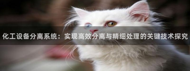 美狮贵宾会输了100万