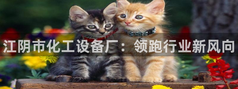 美狮 百度百科