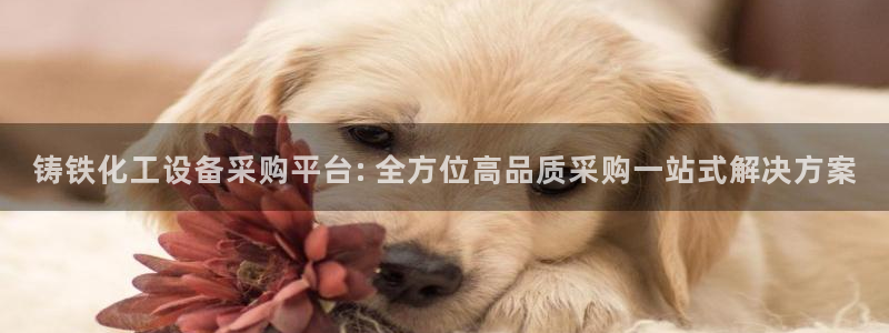 美狮贵宾会官方