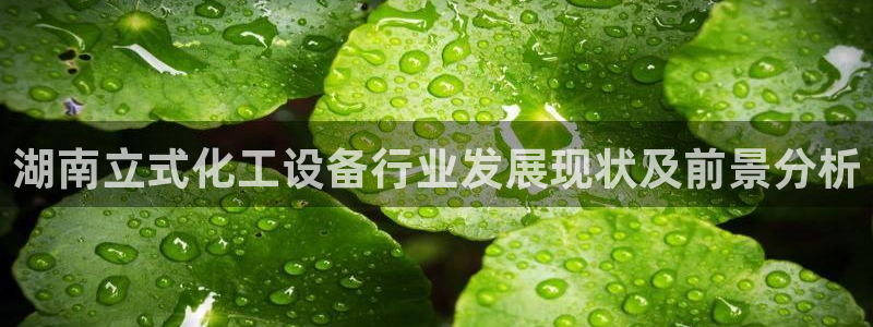 美狮会员卡等级