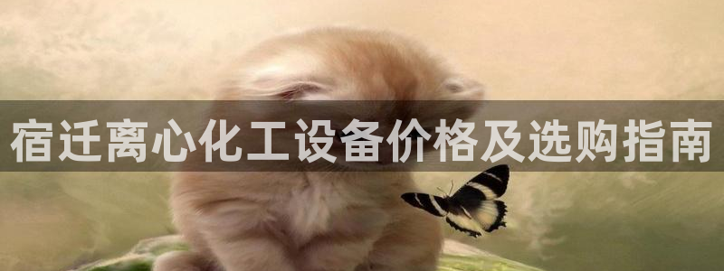 美狮集团财务部待遇