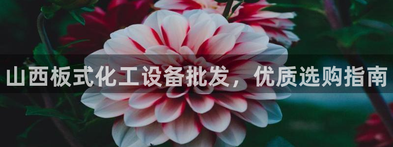 美狮集团有限公司