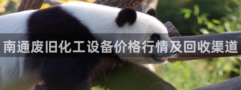 美狮会官版