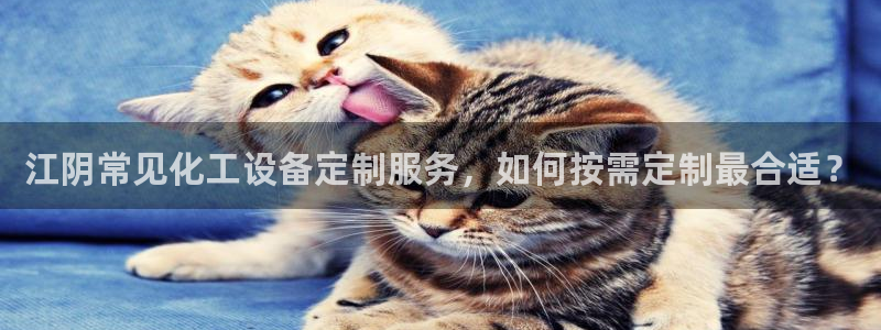 美狮会员卡等级划分