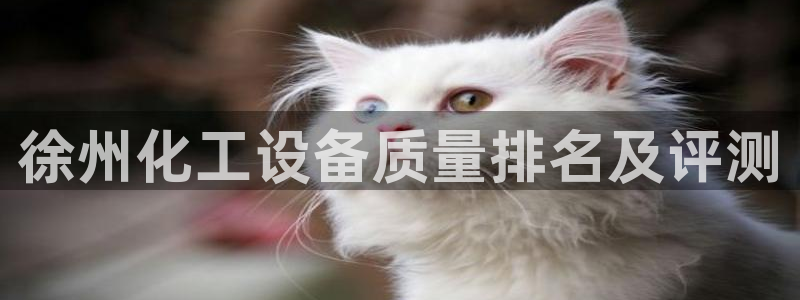美狮会是正规平台吗是真的吗