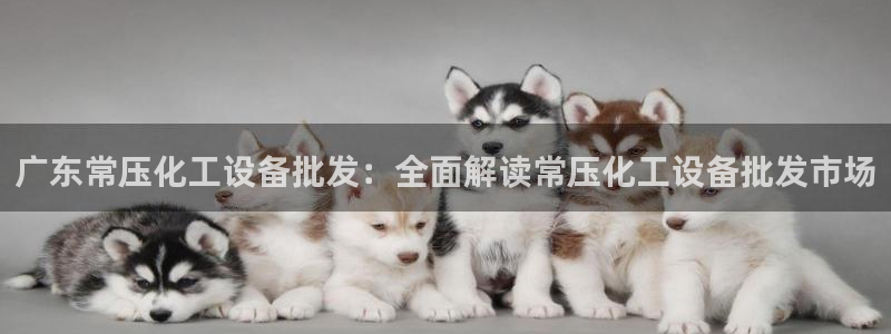 美狮会员卡等级怎么分