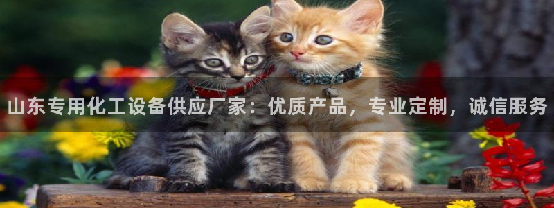 美狮充值中心