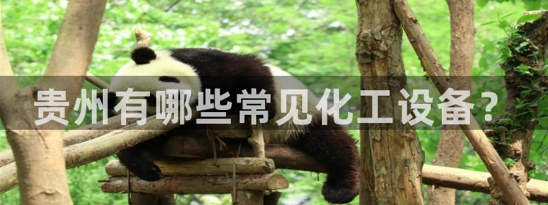 美狮贵宾会首页