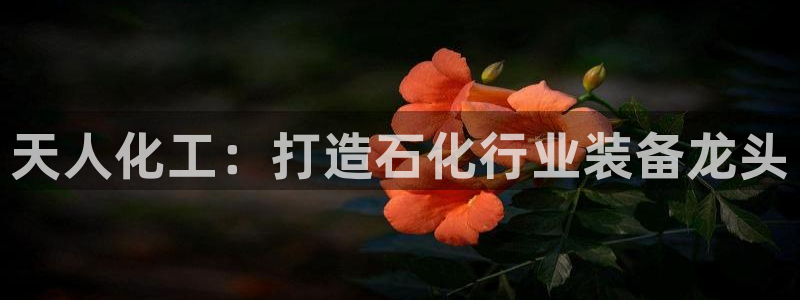 美狮贵宾注册