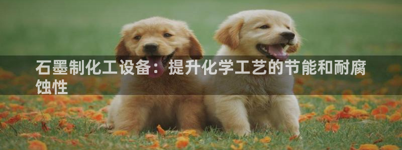 美狮贵宾会怎找不到了