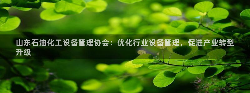 美狮会赚钱平台是骗局吗