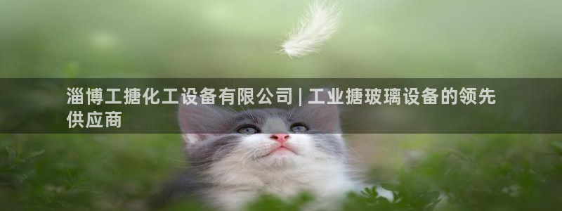 美狮国际控股集团