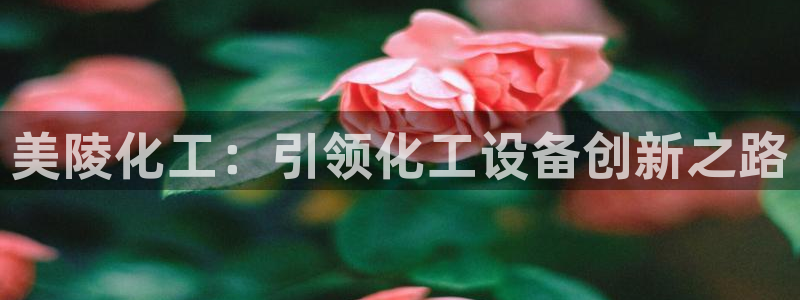 美狮贵宾会贴吧