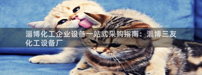 美狮会赚钱平台是骗局吗安全吗