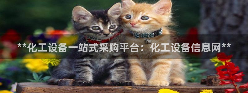 美狮贵宾快速充值中心