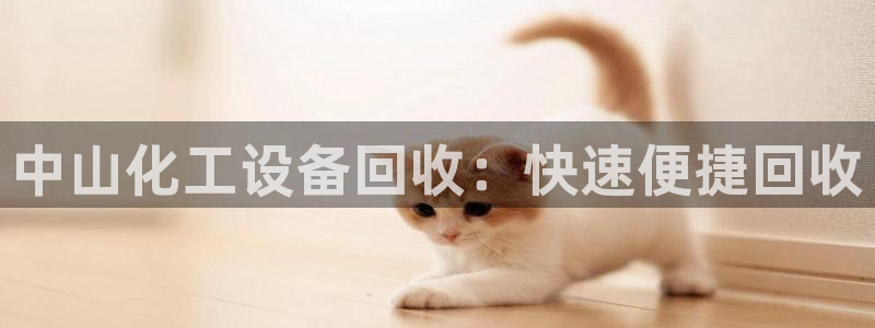 美狮贵宾会开了几年了吗