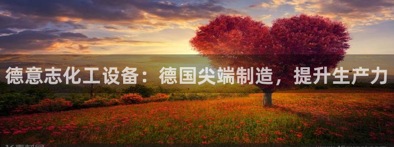 美狮传媒集团有限公司怎么样