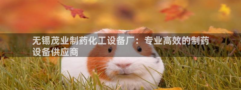 美狮传媒集团有限公司怎么样