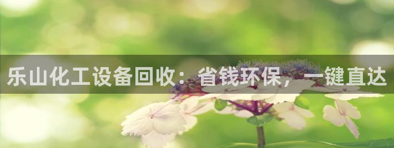 美狮贵宾会官方