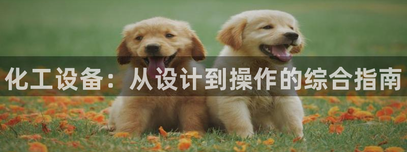 美狮国际控股集团