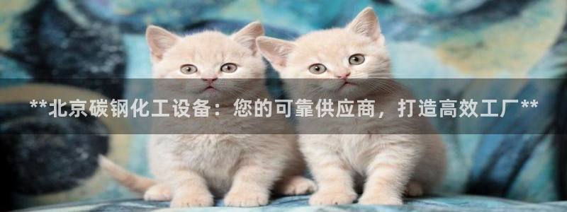 美狮传媒集团有限公司