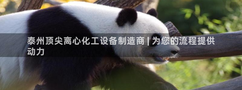 美狮 百度百科