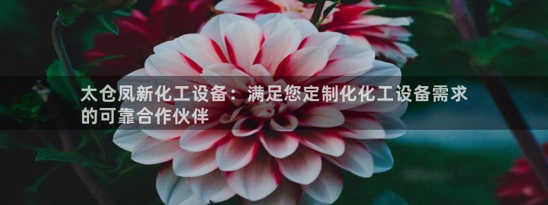 美狮图片