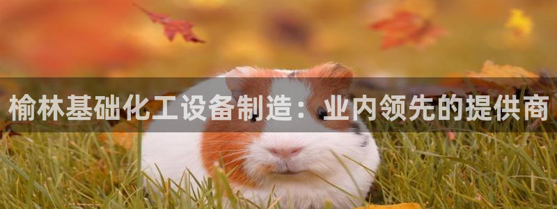 美狮会平台是干什么的