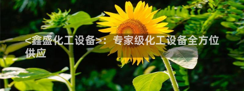 美狮充值中心官网