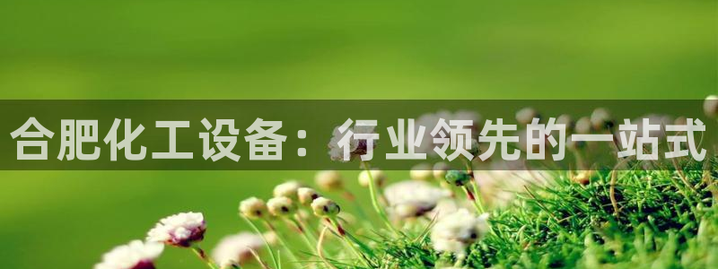 美狮实业有限公司