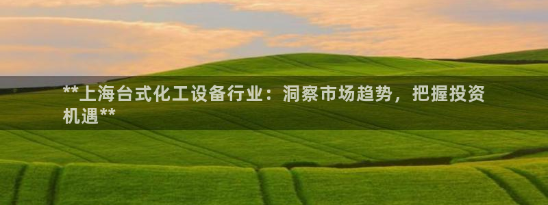 美国美狮集团