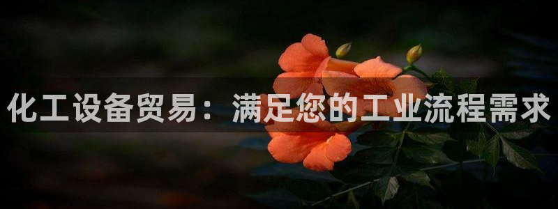 美狮传媒集团有限公司怎么样