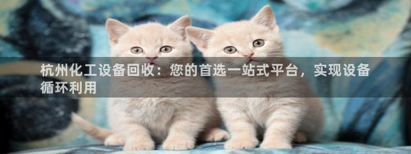 美狮贵宾会开了几年了