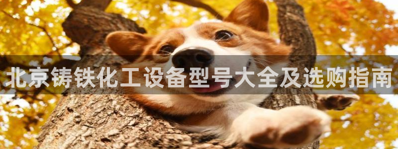美狮贵宾会0923377