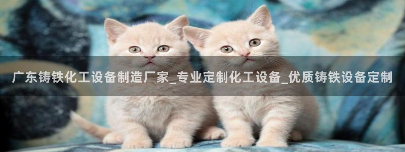 美狮贵宾会官网