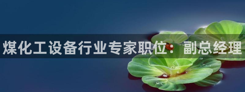 美狮会平台真的假的