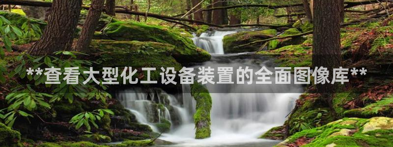 美狮会