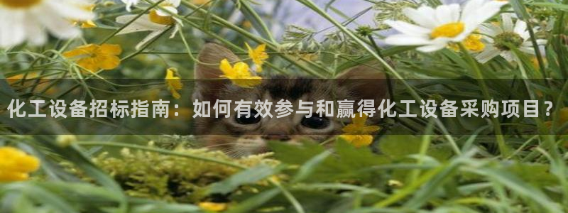 美狮会员网站