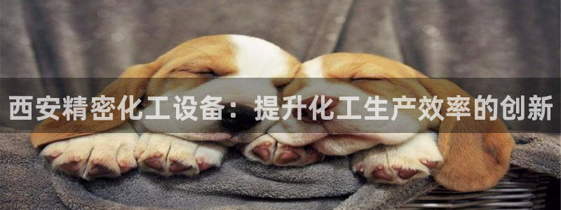美狮贵宾会app