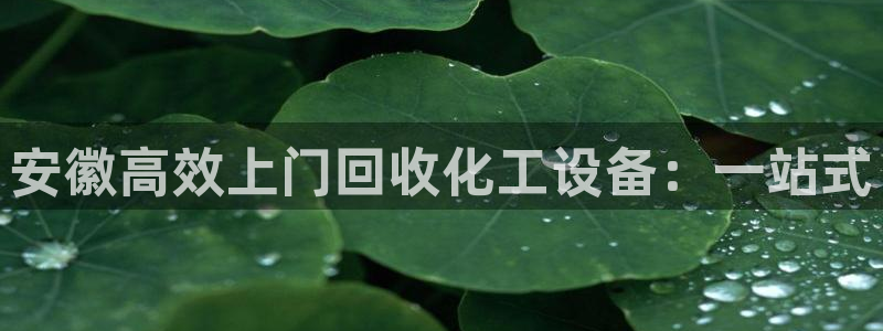 美狮官网