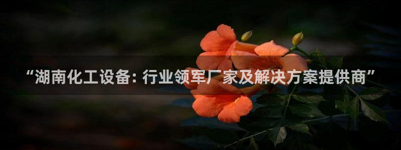 美狮贵宾会官网网址