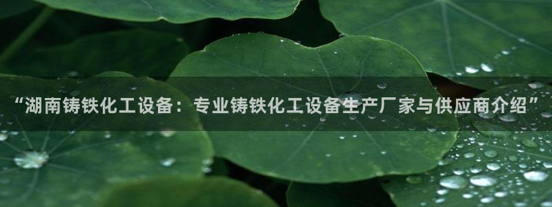 美狮集团财务部待遇