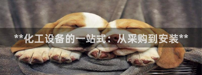 美狮会平台上的钱能取出来吗