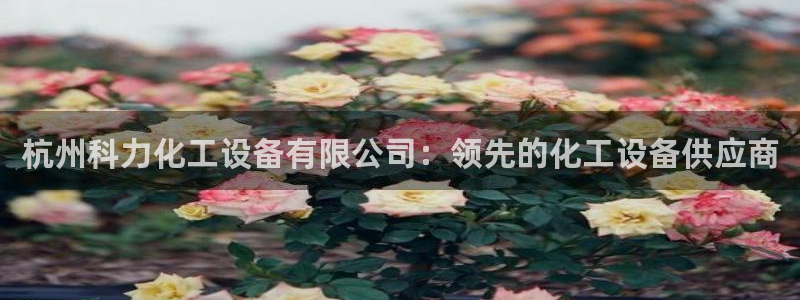 美狮贵宾会0924455