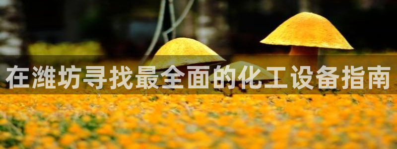 美狮荟积分规则
