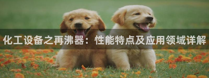 美狮会员卡等级有什么用