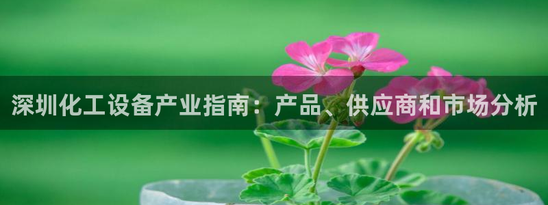 美狮会员卡等级划分图
