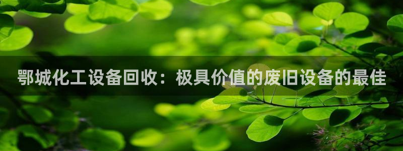 美狮贵宾会官方