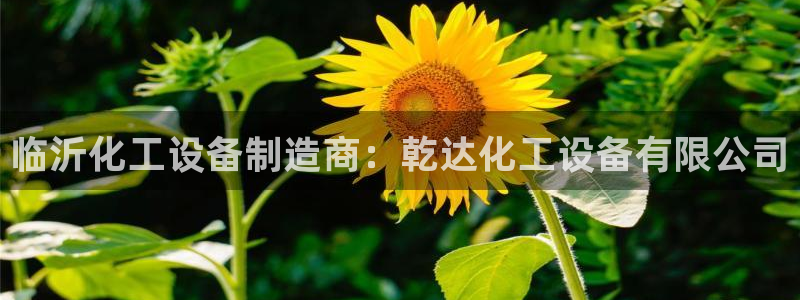 美狮实业有限公司